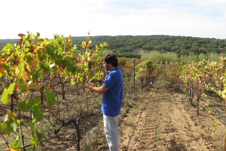 a man standing in front of a tree