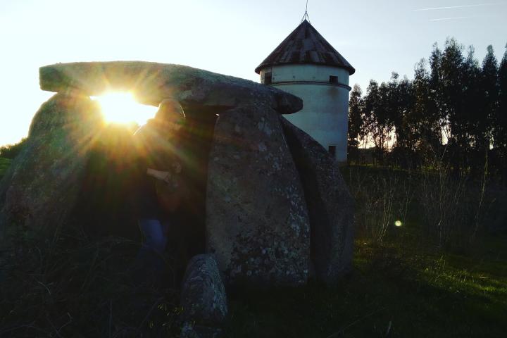 a house with trees in the background